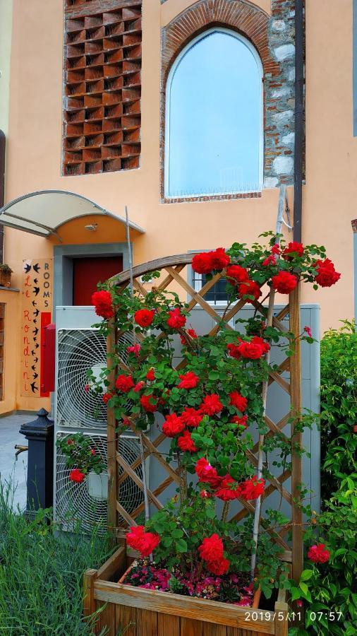 Bed and Breakfast Le Rondini Di San Donato Лукка Екстер'єр фото