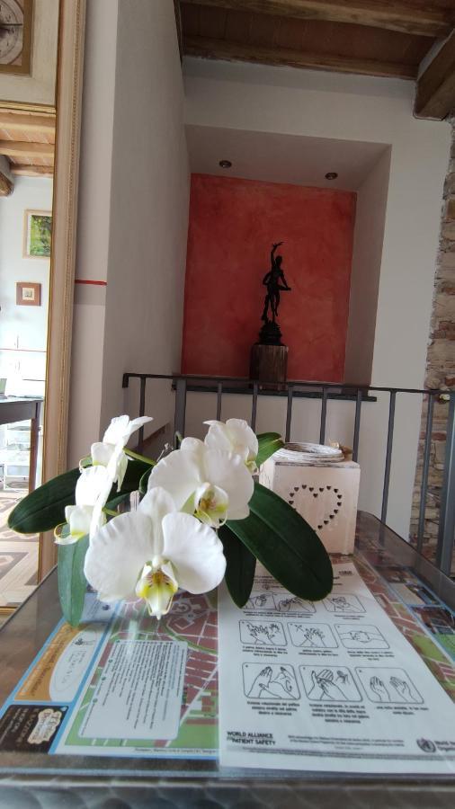 Bed and Breakfast Le Rondini Di San Donato Лукка Екстер'єр фото
